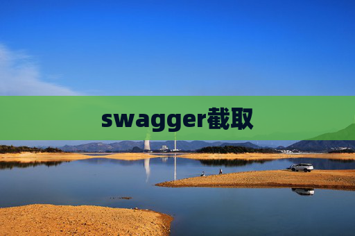 swagger截取